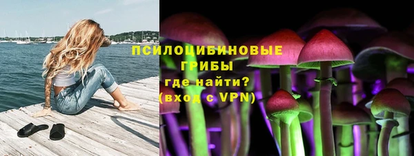 а пвп мука Белокуриха