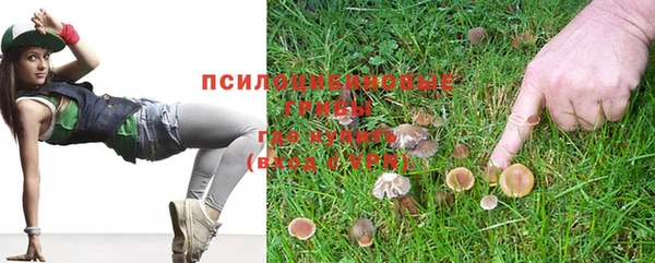 а пвп мука Беломорск